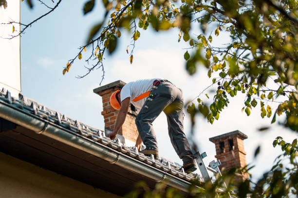 Best Best Roofing Contractors  in Bass Lake, IN